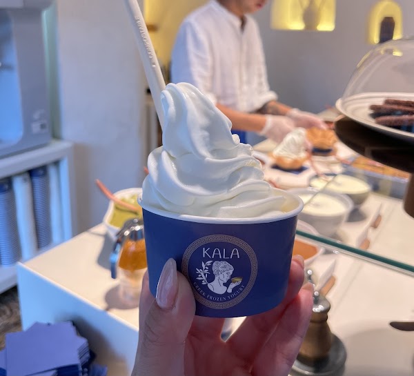KALA Greek Frozen Yogurt 4