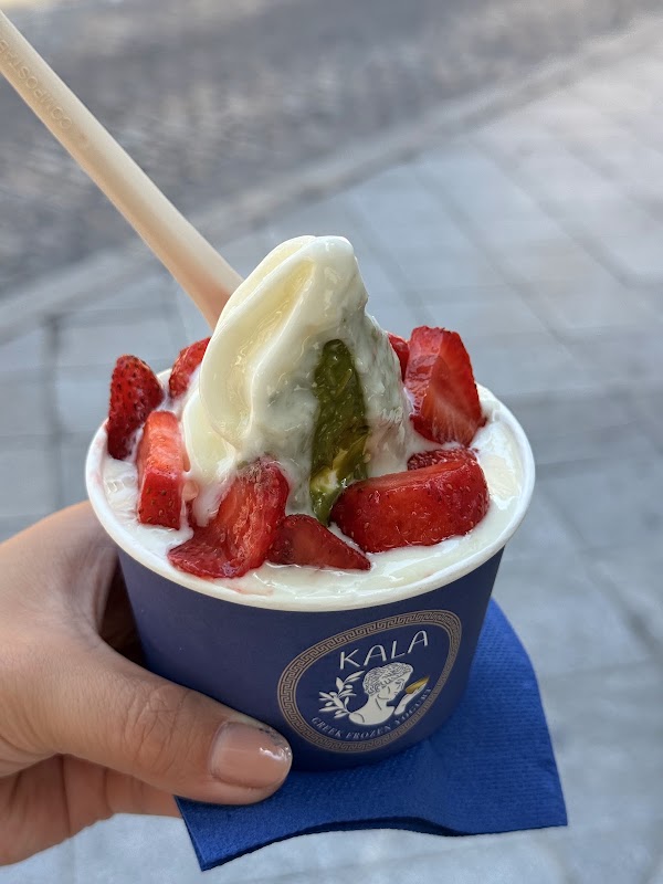 KALA Greek Frozen Yogurt 3