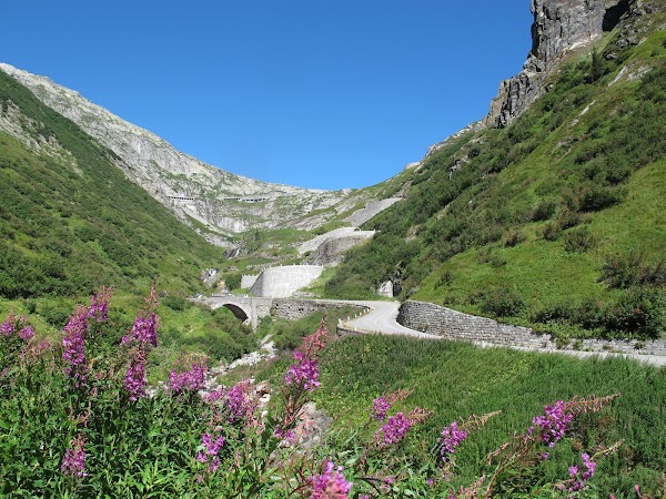 Tremola 5