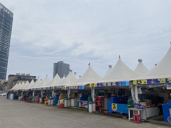 동명항 오징어난전 2