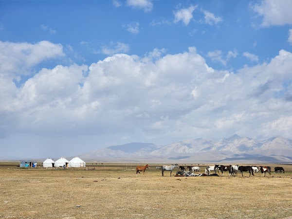 Song-Kul 5