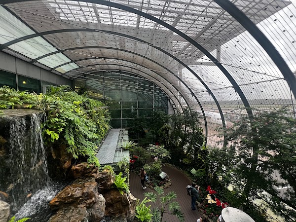 Butterfly Garden 1