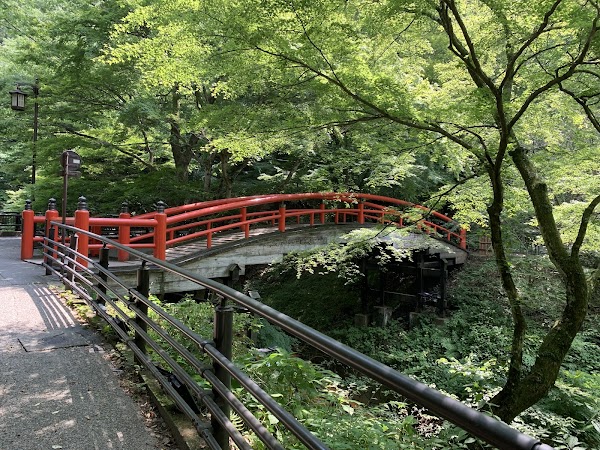 Kajika Bridge 1