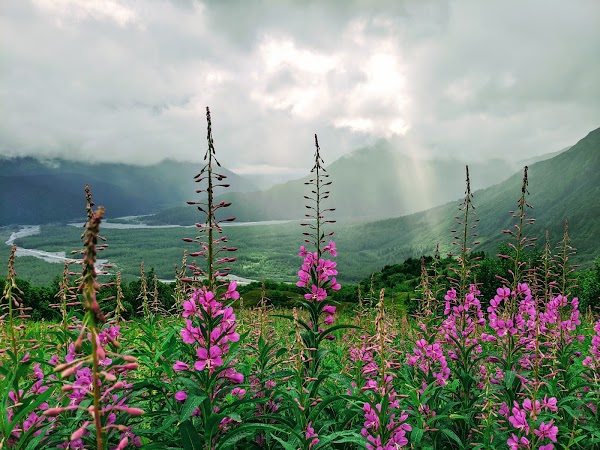 Harding Icefield 4