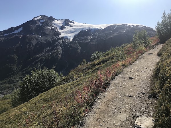 Harding Icefield 3