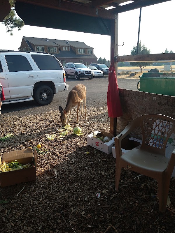 Sisters Farmstand 4