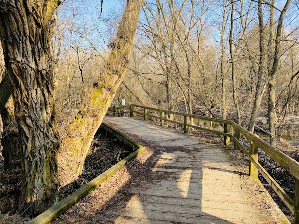 Toogood Pond Park 4