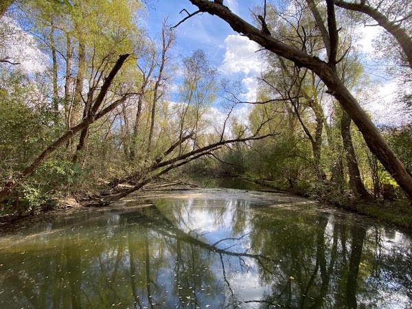 Toogood Pond Park 3