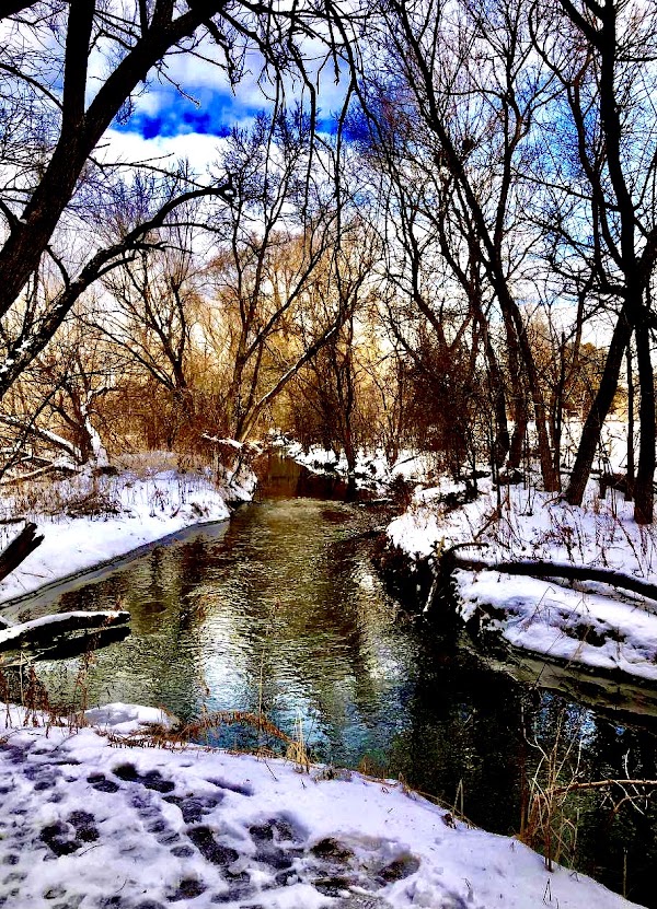 Toogood Pond Park 2