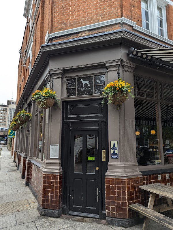 The Black Dog