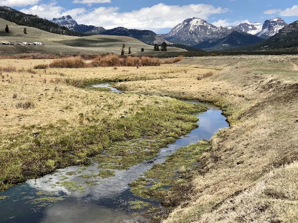 Soda Butte Creek 1