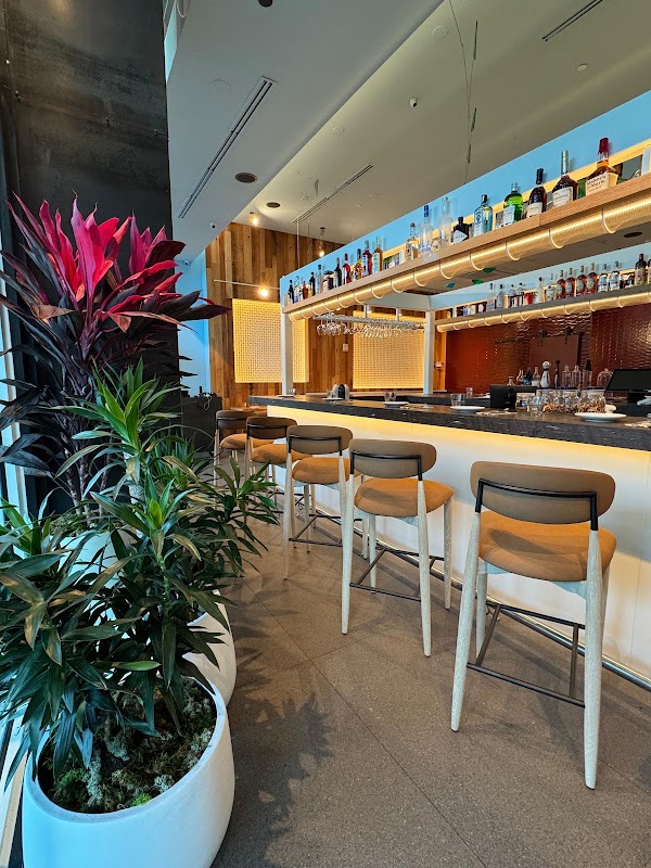 Charlatam - Miami 1