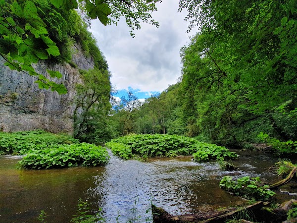 Chee Dale Stepping Stones 1