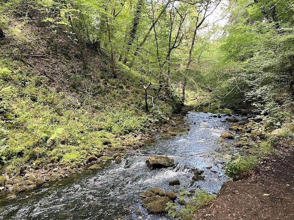 Chee Dale Stepping Stones 3