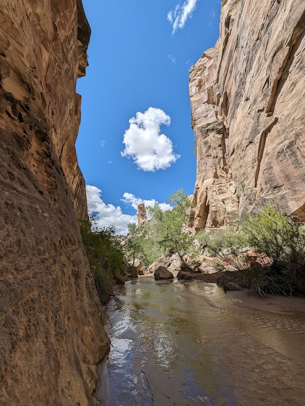 Lower Hackberry Canyon Trailhead