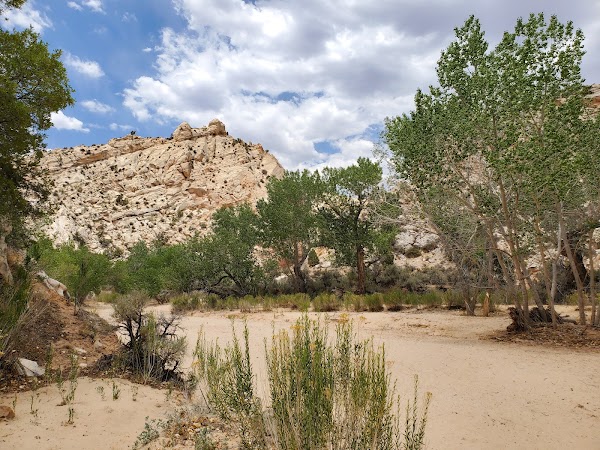 Lower Hackberry Canyon Trailhead 5