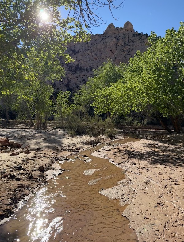 Lower Hackberry Canyon Trailhead 4