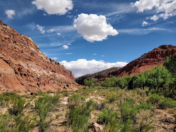 Lower Hackberry Canyon Trailhead 3