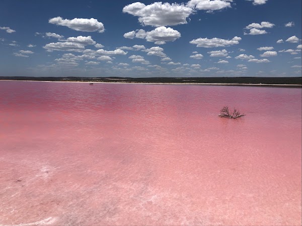 Hutt Lagoon