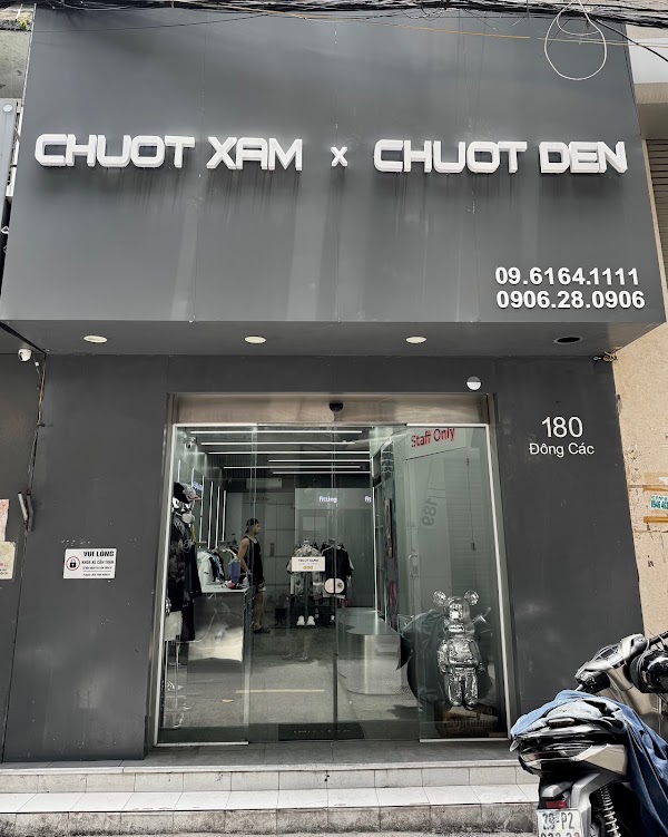 Chuột Xám x Chuột Đen