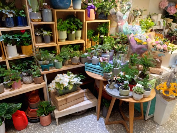 Anglo Chinese Florist 4