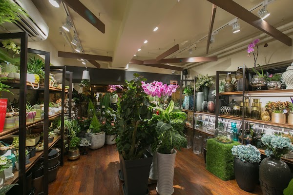 Anglo Chinese Florist 2