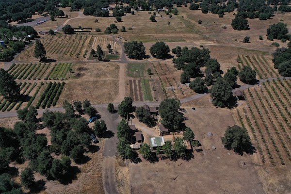 Julian Farm and Orchard 1