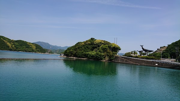 Katsuura 5