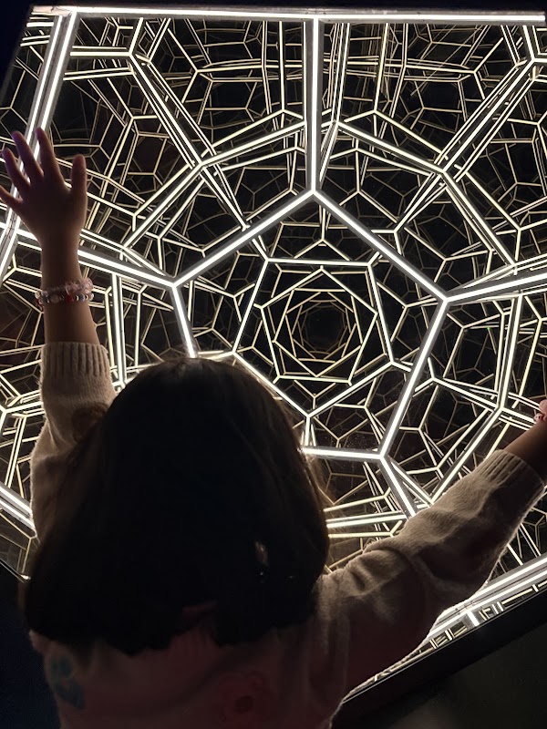 Museum of Illusions 5