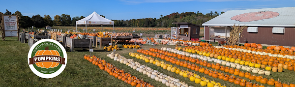 Good Family Pumpkins 1