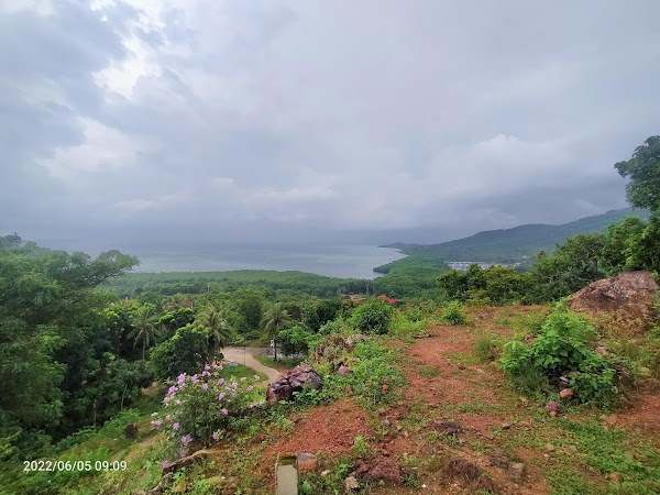 Bukit Love 4