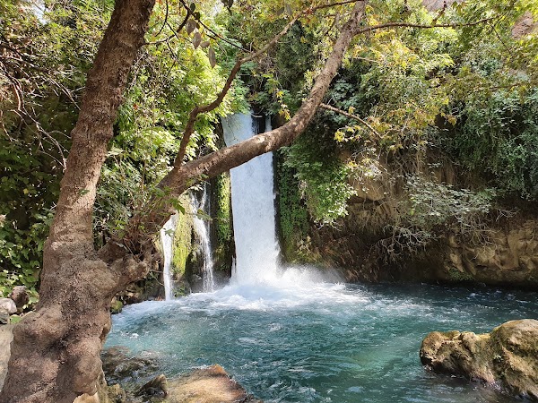 Hermon Stream Nature Reserve 1
