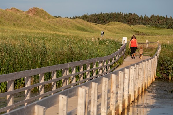 Cavendish Dunelands Trail, Prince Edward Island National Park