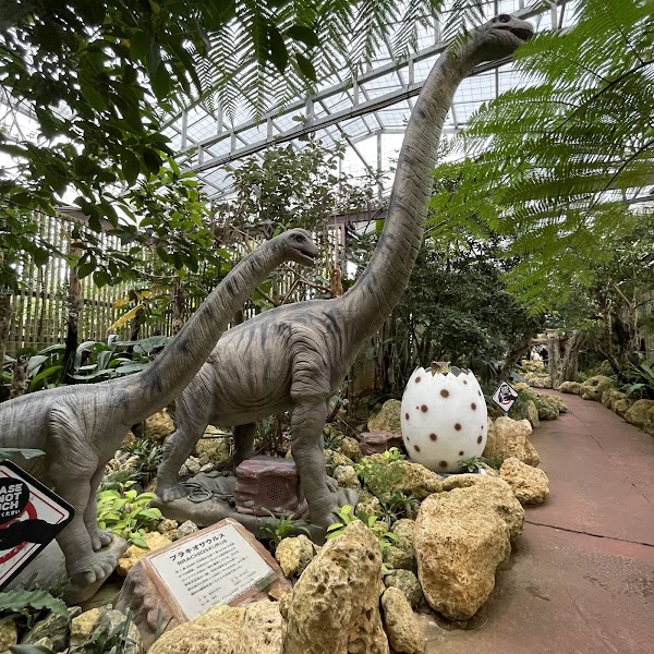 Dinosaur Adventure Tour 1
