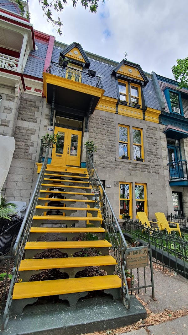 Le Plateau-Mont-Royal 5