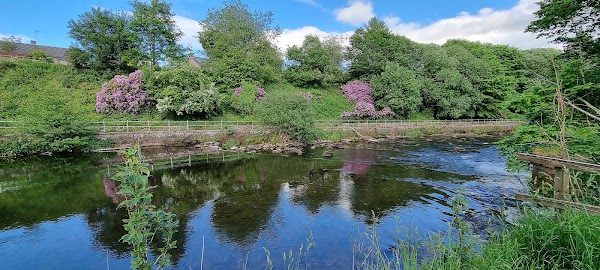 Dunblane 3