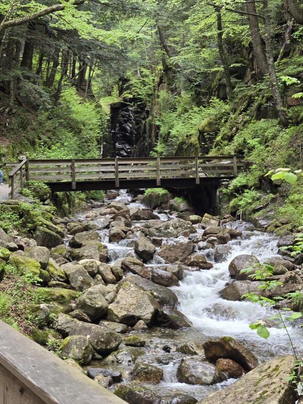 Flume Gorge 2