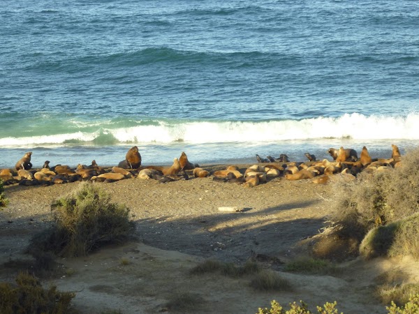 Valdes Peninsula 4