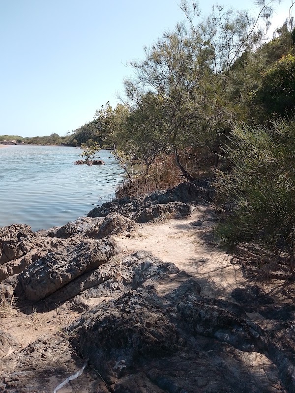 Sawtell 3