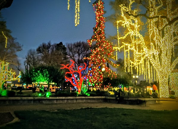 Downtown City Park 3