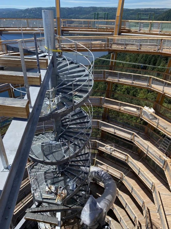 Malahat Skywalk 5