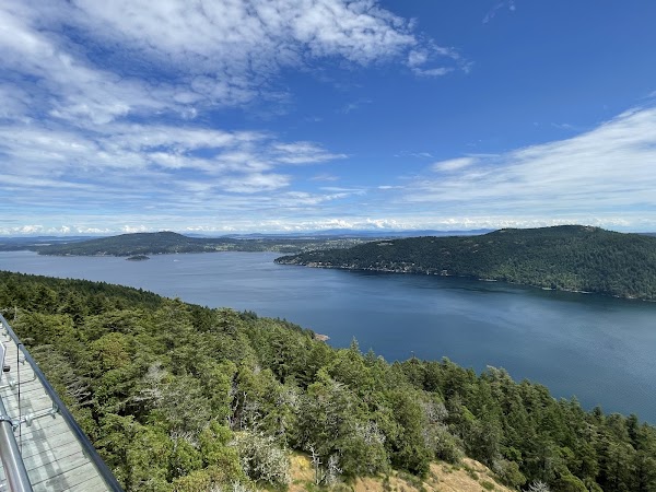 Malahat Skywalk 4