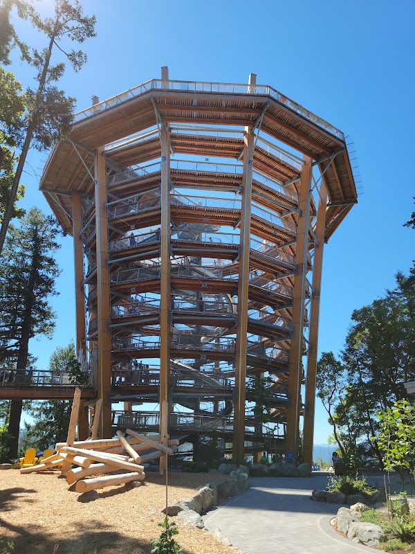 Malahat Skywalk 3