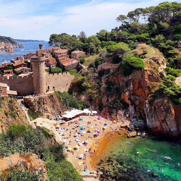 Es Codolar beach 5