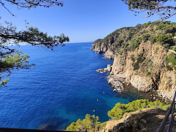 Es Codolar beach 4