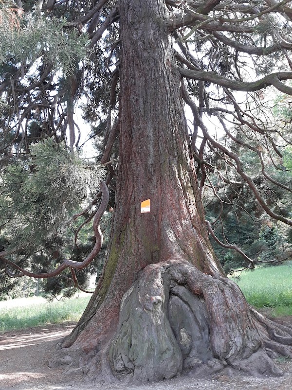 Pötzleinsdorfer Schlosspark 3