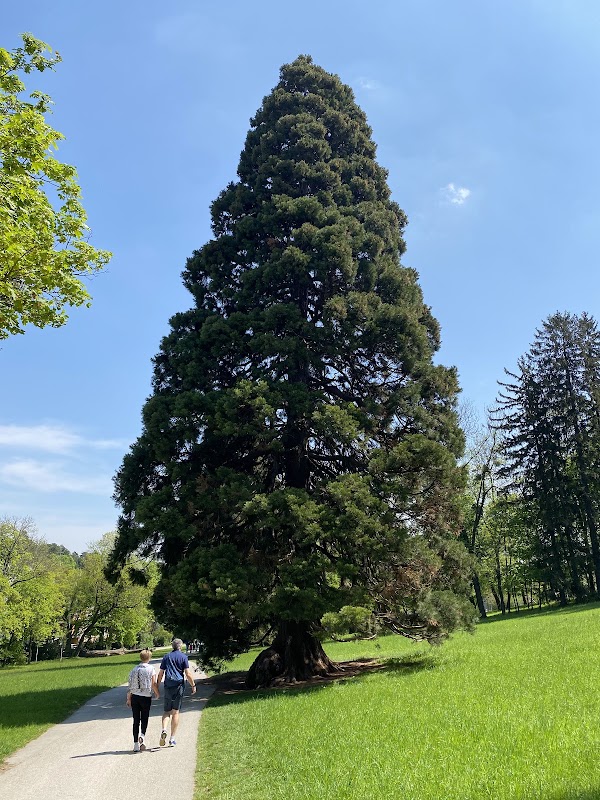 Pötzleinsdorfer Schlosspark 2