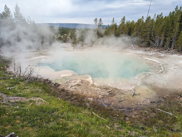 Norris Geyser Basin
