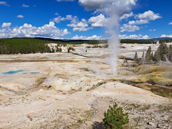 Norris Geyser Basin 5