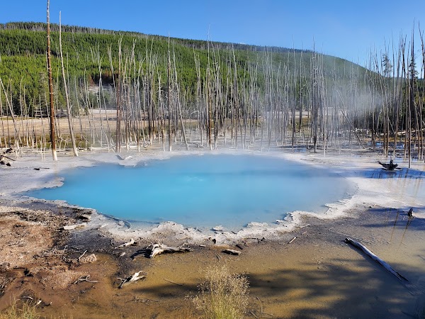 Norris Geyser Basin 4